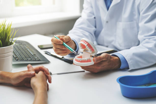 Professional  Holistic Dental Services in Long Hill, CT